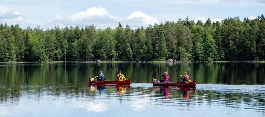 Rovaniemi: Guided Wilderness Kayaking Adventure - Pickup, timing, and small-group limits that shape the vibe