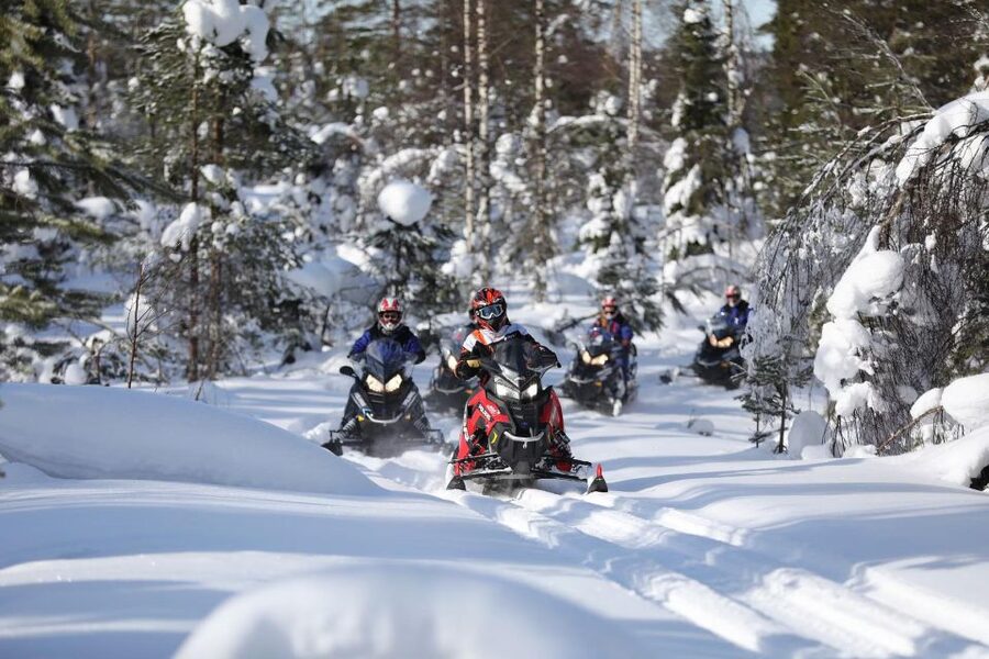 Rovaniemi: Guided Wilderness Snowmobile Ride - Logistics That Actually Matter on a Snow Day