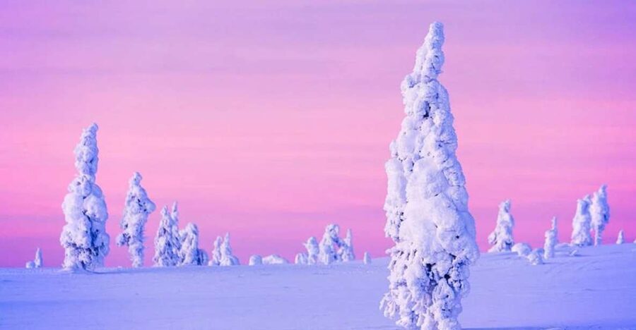 Rovaniemi: Half-Day Snowmobile & Ice Fishing Experience - Timing, Group Size, and When Your Day Might Shift