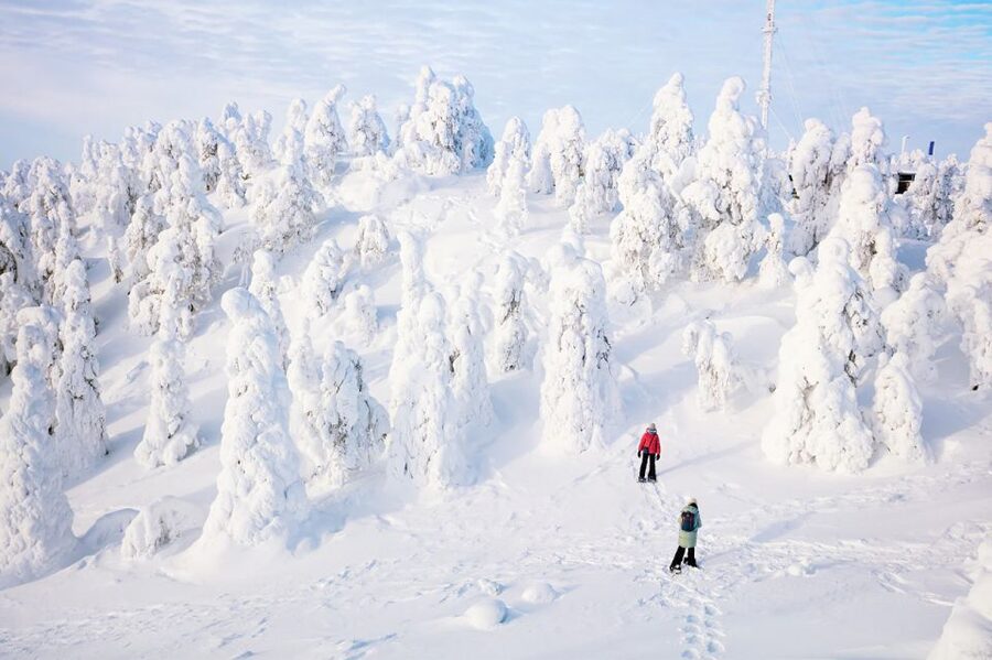 Rovaniemi: Hiking and Snowshoeing Adventure in Lapland - Key things I’d bet on