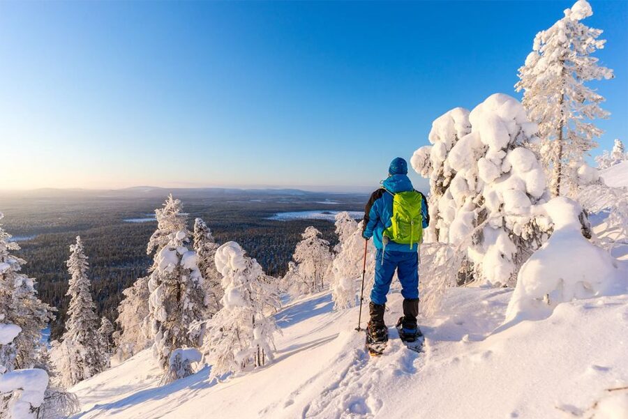Rovaniemi: Hiking and Snowshoeing Adventure in Lapland - Rovaniemi Winter, in a 3-Hour Dose of Arctic Air