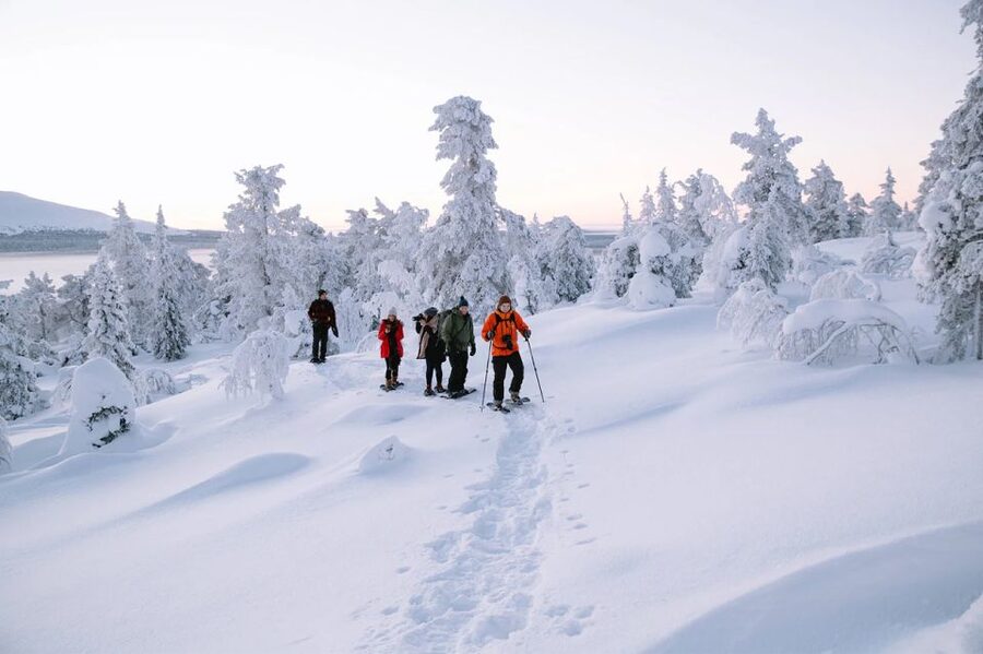 Rovaniemi: Hiking and Snowshoeing Adventure in Lapland - Learning Snowshoe Rhythm on Frozen Terrain