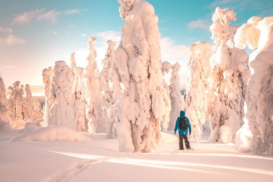 Rovaniemi: Hiking and Snowshoeing Adventure in Lapland - Price and Value: What $104 Buys You in Lapland