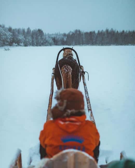 Rovaniemi: Horse Sleigh Ride under the Night Sky - Should You Book Apukka’s Horse Sleigh Aurora Ride?