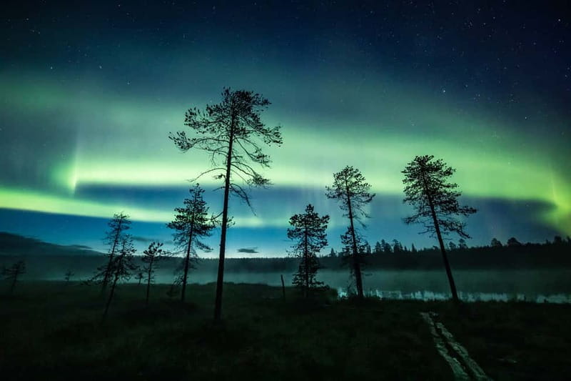 Rovaniemi: Horse Sleigh Ride under the Night Sky - From Winter Clothing to a Short Walk to the Horses