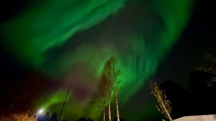 Rovaniemi: hunting for the Northern Lights with BBQ - Stop 2: The Secret Stop for Photos and Guided Time (About 1 Hour)