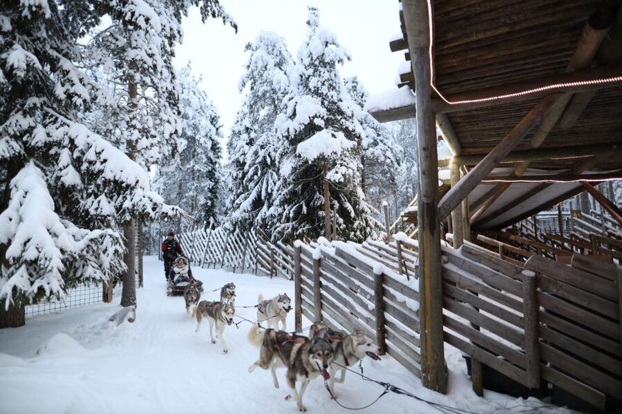 Rovaniemi: Husky and reindeer farm visit with sleigh rides - First Stop: The Husky Park and a 1km Sled Ride