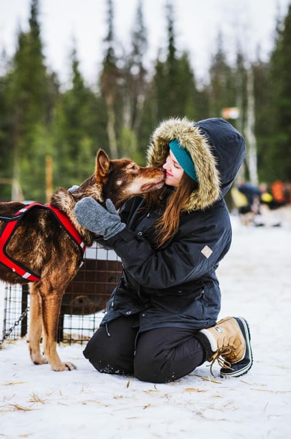 Rovaniemi: Husky and Reindeer farm with sleigh ride - Wooden sled ride with reindeer, plus the fun add-on
