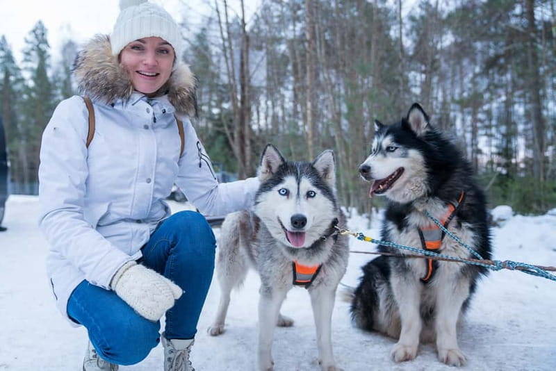 Rovaniemi: Husky Farm and Reindeer Experience - Pickup, Clothing, and Cold-Weather Reality Check