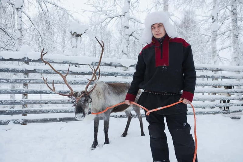 Rovaniemi: Husky & Reindeer Experience with Snowmobile Ride - Snowmobile Time: Training, Groups, and the Arctic Circle Forest Ride