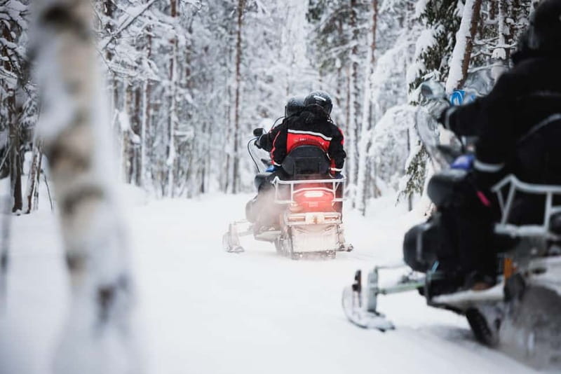 Rovaniemi: Husky & Reindeer Experience with Snowmobile Ride - Alaskan Huskies: The 500m Sleigh Ride and How the Dogs Feel