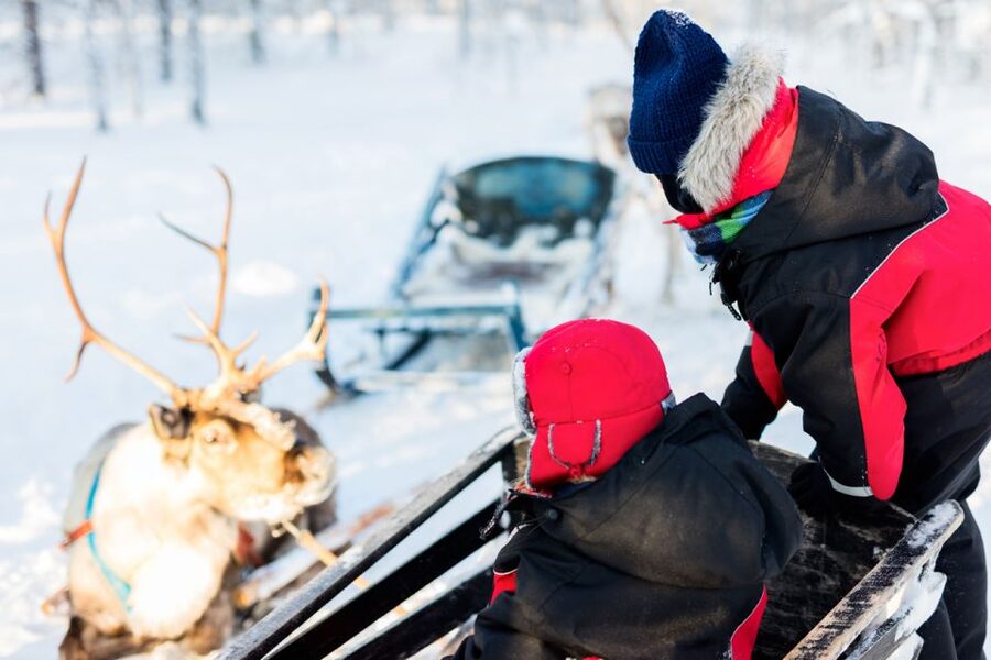 Rovaniemi: Husky & Reindeer Experience with Snowmobile Ride - Licensing, Liability, and the Snowmobile Rules That Catch People