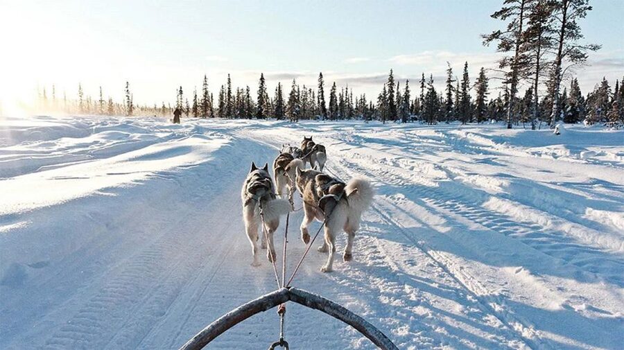 Rovaniemi: Husky Safari on a Snowy Trail - Winter gear and cold-weather comfort that actually helps