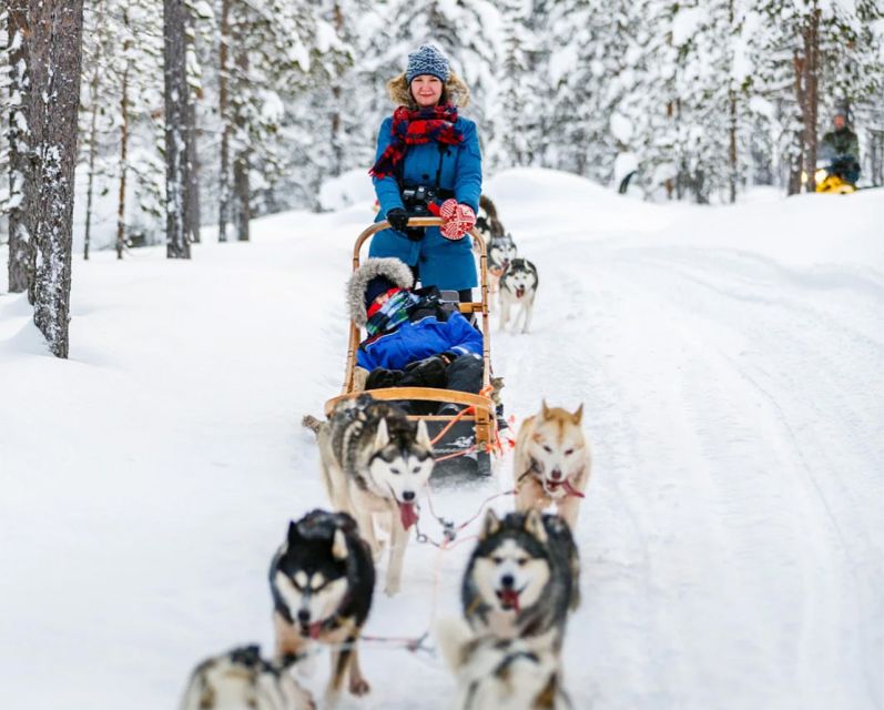 Rovaniemi: Husky Safari on a Snowy Trail - Hot blueberry juice and Finnish snacks: the cozy reset