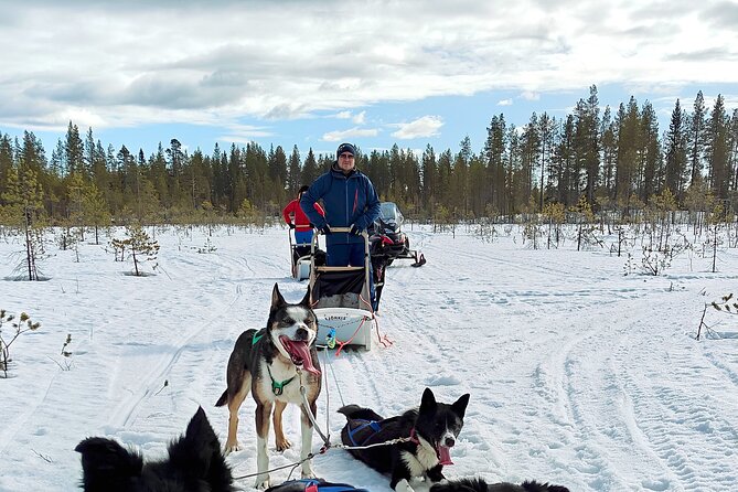 Rovaniemi Husky Safari - Self Drive Adventure 6-10km + BBQ - What I Like Most: Driving, Then Warming Up