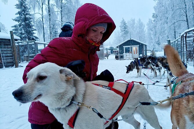 Rovaniemi Husky Safari - Self Drive Adventure 6-10km + BBQ - Where the Day Starts: Koskikatu 19 and the Pickup Van