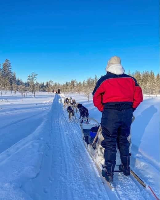 Rovaniemi: Husky Safari with Transfers & BBQ - Pickup and Transfers That Set the Tone for Lapland