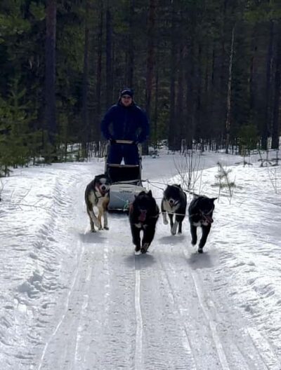 Husky Safari with Transfers & BBQ