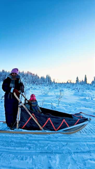 Rovaniemi: Husky Safari with Transfers & BBQ - Kota Warmth: Hot Drinks, Sausages, Cookies, and Marshmallows