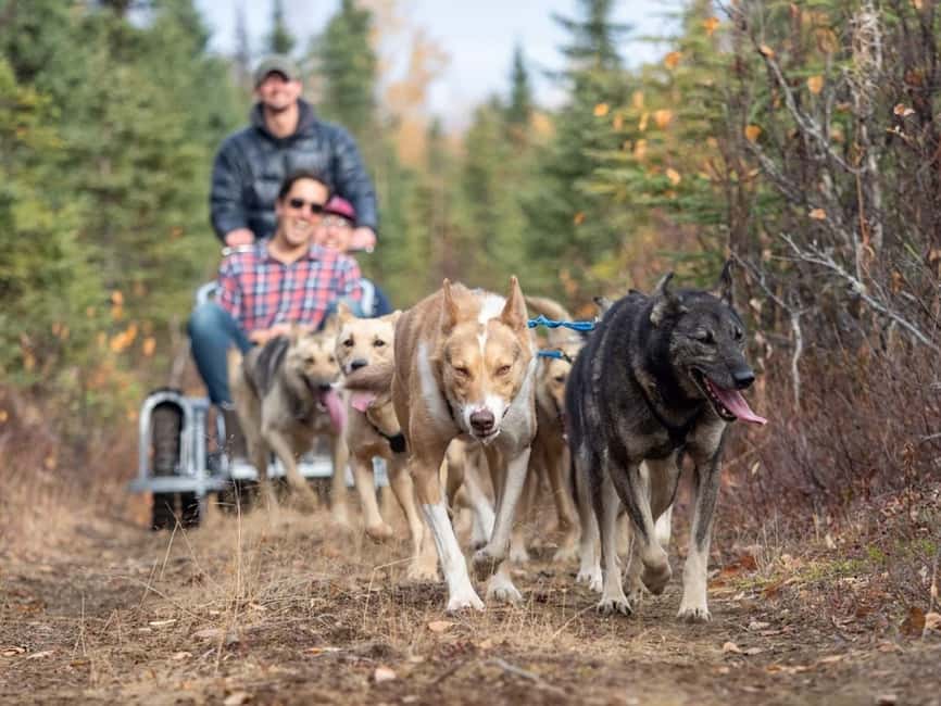 Rovaniemi: Husky Sled Ride and Farm Visit - Season Dates, Timing, and Winter Prep That Actually Helps
