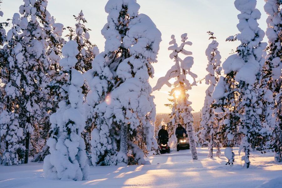 Rovaniemi: Ice Fishing & Snowmobile Safari Combo Day - Wildlife Talk and Polar Bear Chances in Lapland Winter