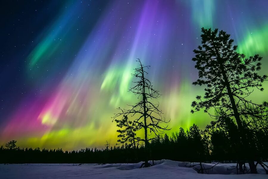 Rovaniemi: Ice Floating in Forest Lake with Aurora Borealis - Floating Time: How It Feels and How to Have a Better Session