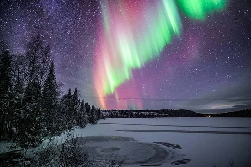 Rovaniemi: Ice Floating in Forest Lake with Aurora Borealis - Northern Lights Reality Check: How to Maximize Your Odds
