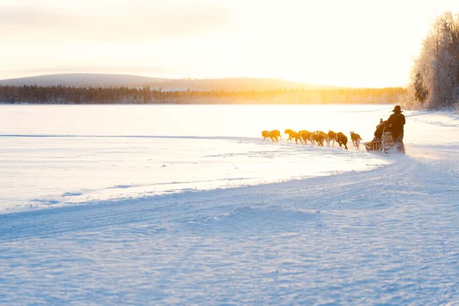 Rovaniemi: Insider 10 km Husky Sled Ride - From Van Pickup To Husky Farm: Cold Weather, Handled Right