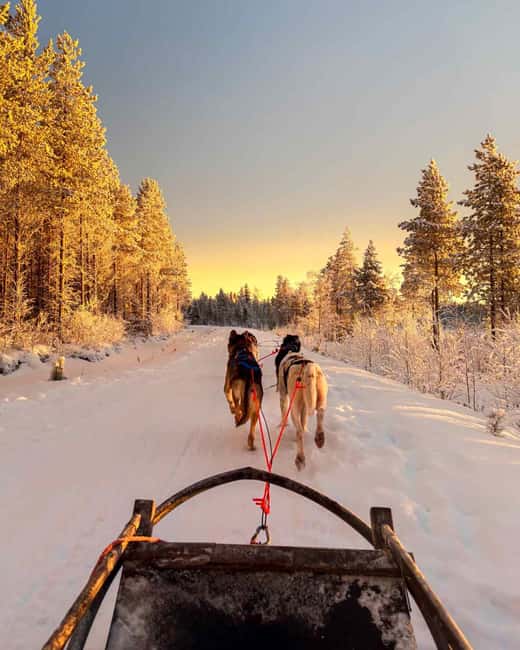 Rovaniemi: Insider 10 km Husky Sled Ride - Sled Training: The 5 Minutes That Make The Whole Ride Better