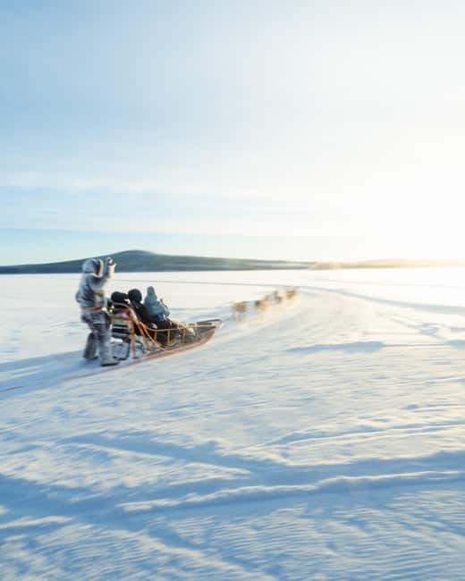 Rovaniemi: Insider 10 km Husky Sled Ride - Kota Warm-Up After The Ride: Hot Drinks, Local Treats, More Husky Time