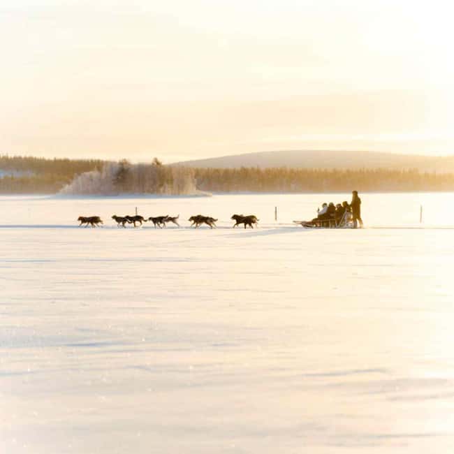 Rovaniemi: Insider 10 km Husky Sled Ride - Thermal Gear That Turns Fear Into Focus