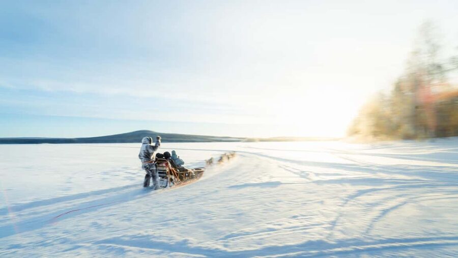 Rovaniemi: Insider 5km Husky Self Drive Tour - Key points before you go
