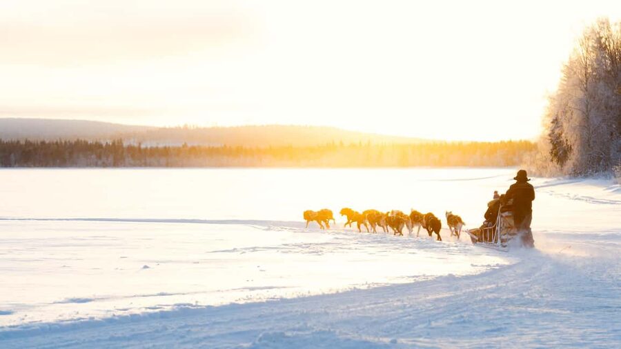 Rovaniemi: Insider 5km Husky Self Drive Tour - How the 5 km self-drive husky sled feels (and why it matters)
