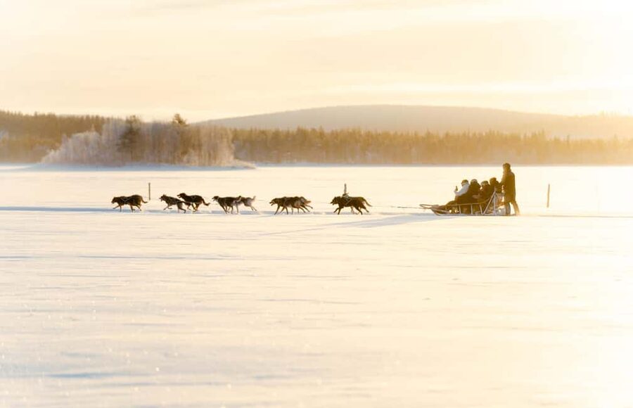 Rovaniemi: Insider 5km Husky Self Drive Tour - The kota warm-up: hot drinks, biscuits, and a real husky conversation