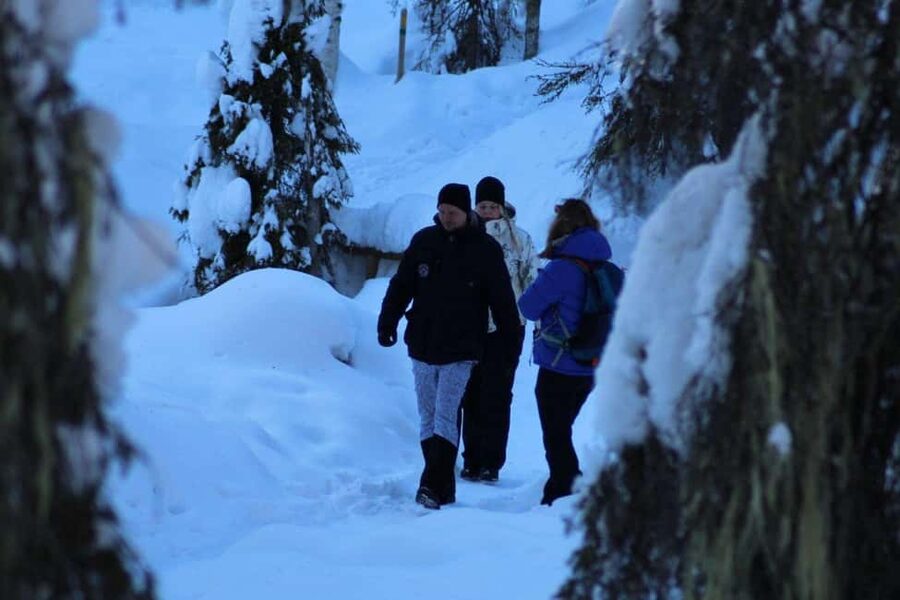 Rovaniemi: Korouoma Canyon and Frozen Waterfalls Tour - Who This Tour Fits Best, and Who Should Skip It