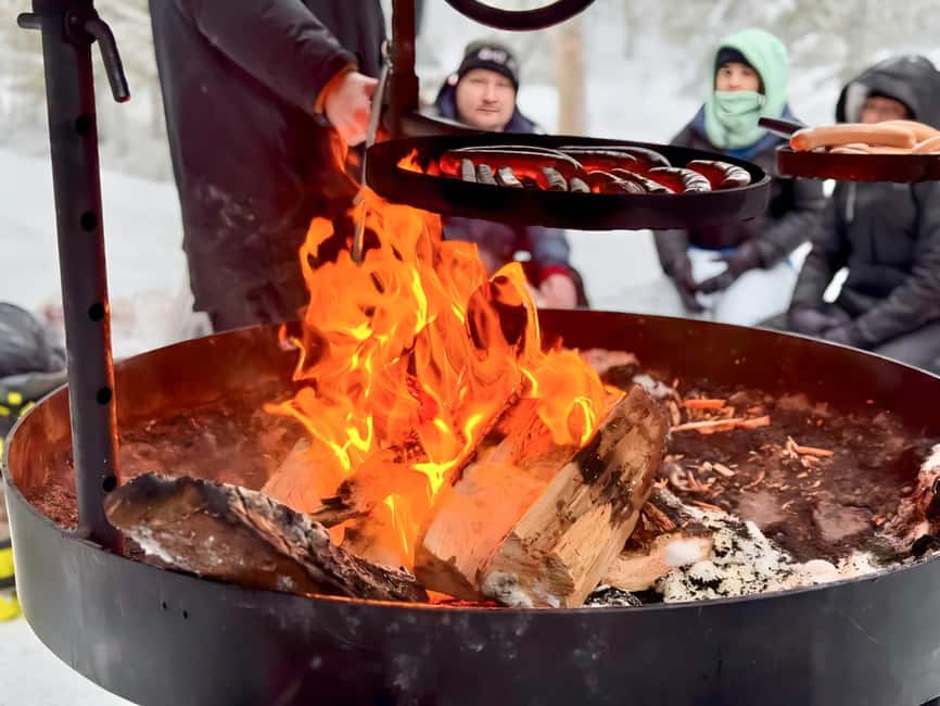 Rovaniemi: Korouoma Canyon Frozen Waterfalls Hike & BBQ - Who This Tour Works Best For (and Who Should Skip)