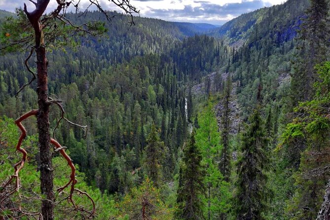 Rovaniemi Korouoma Canyon Hike and Barbecue Experience - Key highlights you should care about