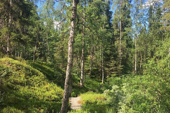 Rovaniemi Korouoma Canyon Hike and Barbecue Experience - The Korouoma Canyon hike: what 4 to 6 km feels like