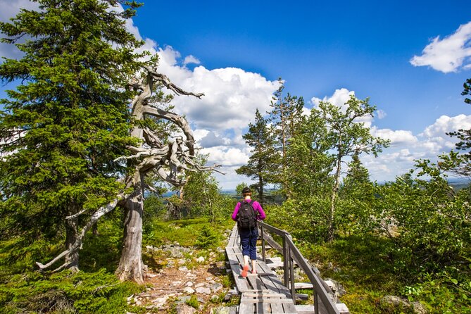 Rovaniemi Korouoma Canyon Hike and Barbecue Experience - Pickup, transport, and the small-group comfort factor