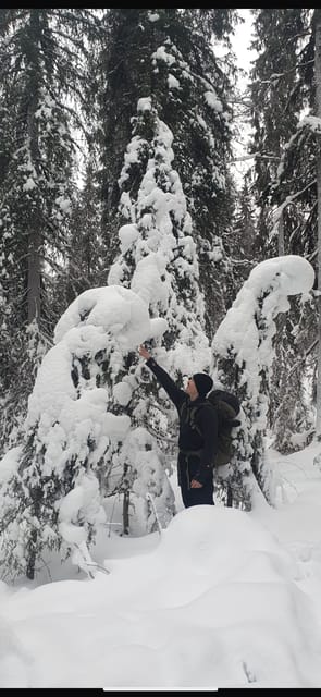 Rovaniemi: Korouoma Frozen Waterfalls Hike & Hot BBQ Lunch - The Guided Hike on Snow and Ice: Boots, Trails, and Pace