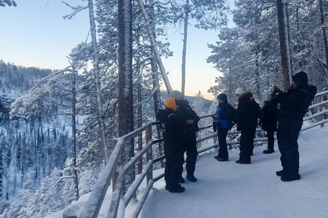 Rovaniemi: Korouoma Frozen Waterfalls Hike with Hot BBQ Lunch - The Mirco Factor: Small-Group Guidance, Safety, and Stories
