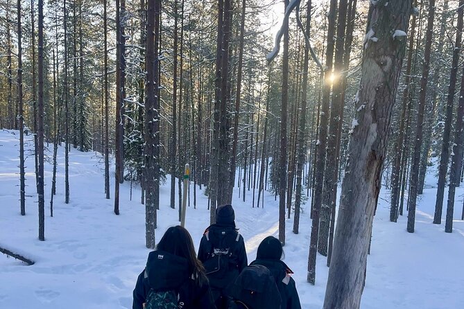 Rovaniemi: Korouoma Frozen Waterfalls Hike with Hot BBQ Lunch - Who This Tour Fits Best (and Who Might Want Another Option)