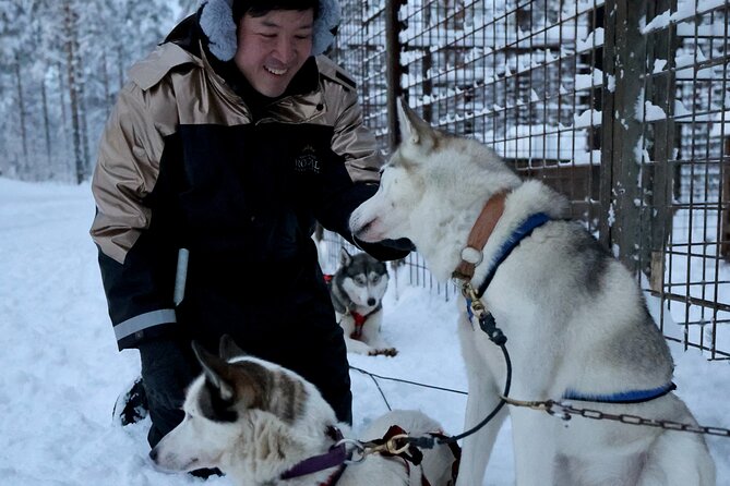 Rovaniemi Lapland Husky Experience 5km - Who this Rovaniemi husky ride is best for