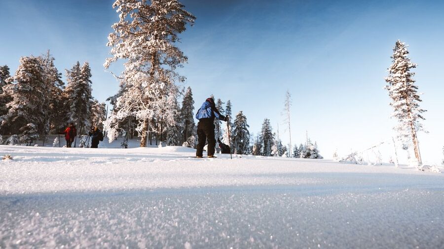 Rovaniemi: Lapland Ski Trekking Safari - Ski Trekking in Rovaniemi: what you’re actually signing up for