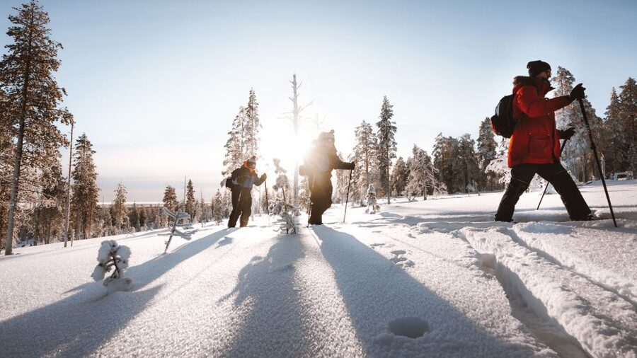 Rovaniemi: Lapland Ski Trekking Safari - From Rovaniemi meeting point to the Taiga forest glides