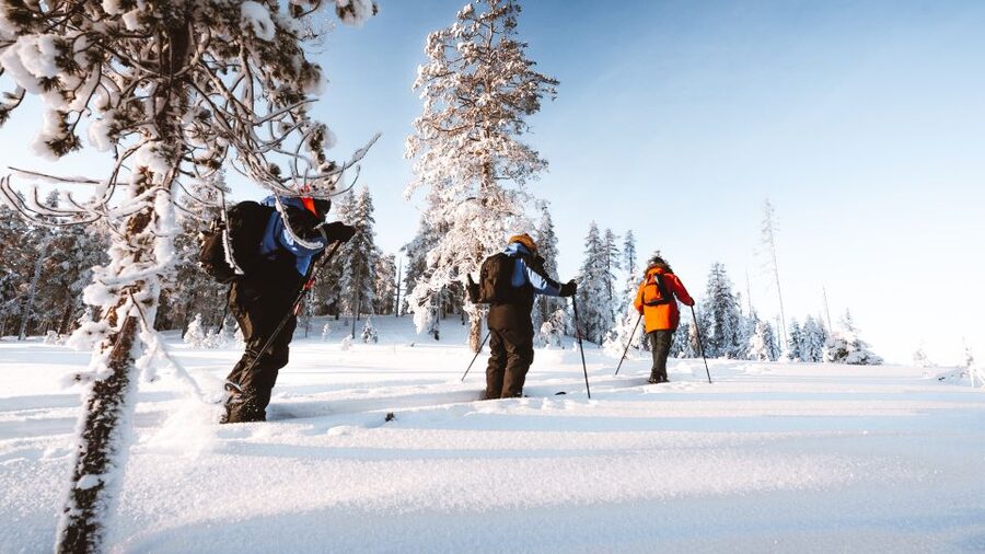 Rovaniemi: Lapland Ski Trekking Safari - Deep snow scenery, frozen water, and animal signs