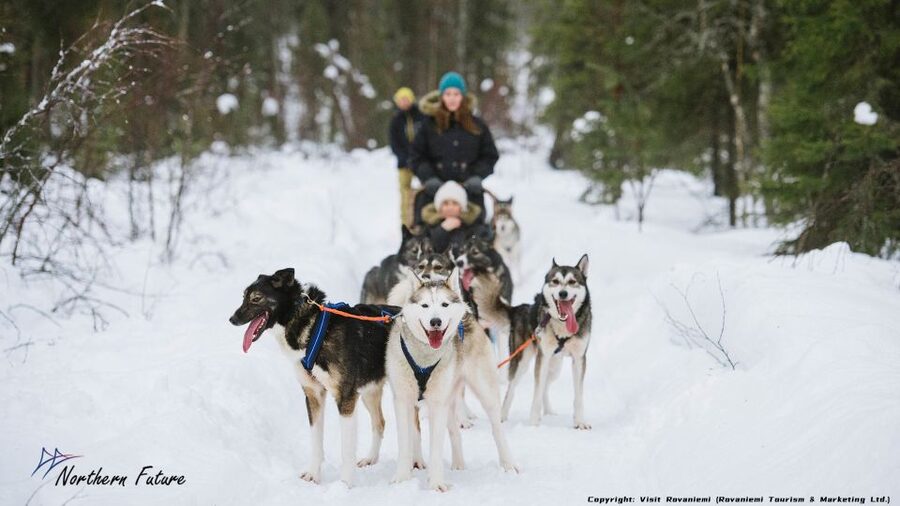 Rovaniemi: Meet Santa Claus, Reindeer Sleigh Ride & Huskies - Pickup and the 30-minute van ride: why it matters more than you think