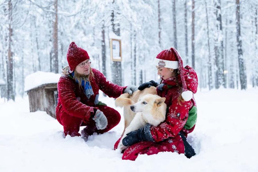 Rovaniemi: Meet Santa's Most Trusted Husky Dogs - Santa’s elves at the center of the husky experience