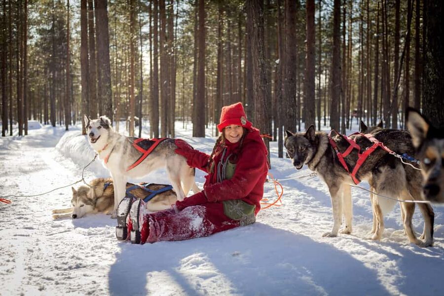 Rovaniemi: Meet Santa's Most Trusted Husky Dogs - Secret stop one: a short, focused intro to husky life and the Santa connection