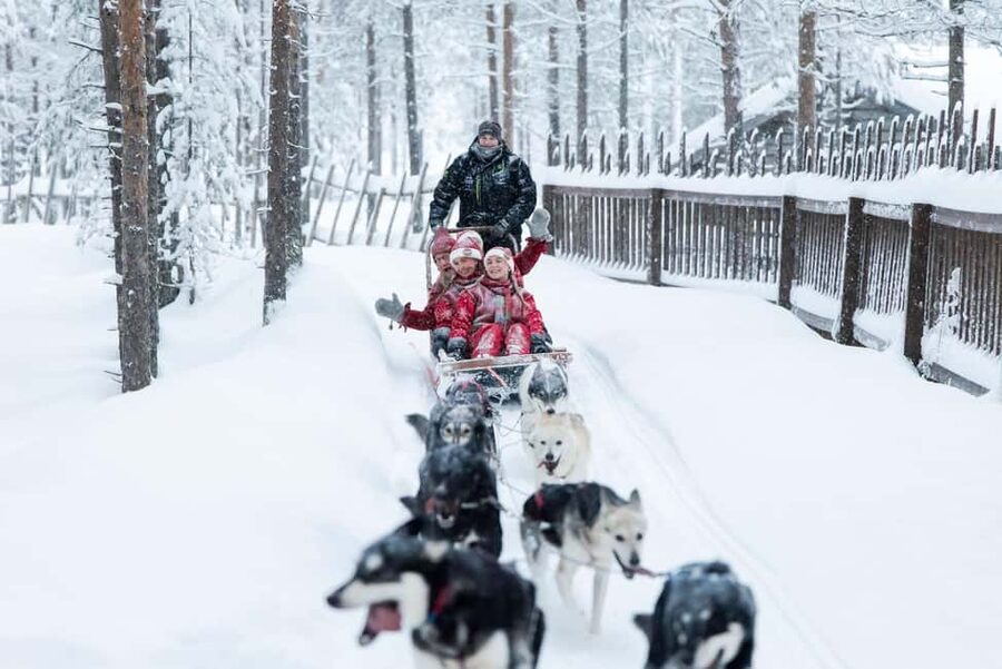 Rovaniemi: Meet Santa's Most Trusted Husky Dogs - From the Elf Center to the husky kennel: the timing feels easy